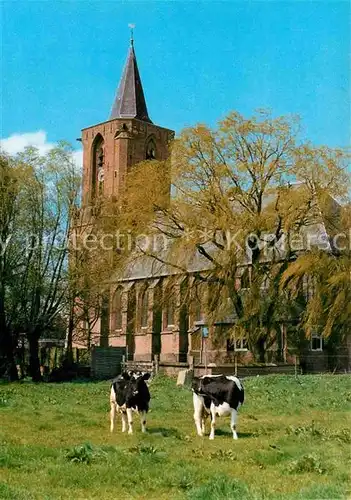 AK / Ansichtskarte Bunschoten NH Kerk Kirche Kuehe Kat. Niederlande