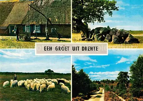 AK / Ansichtskarte Drente Oude boerderij Schoonebeek Hunebed Rolde Schaapherder Exlo Bos en hei Bauernhof Huenengrab Schafe Heidelandschaft