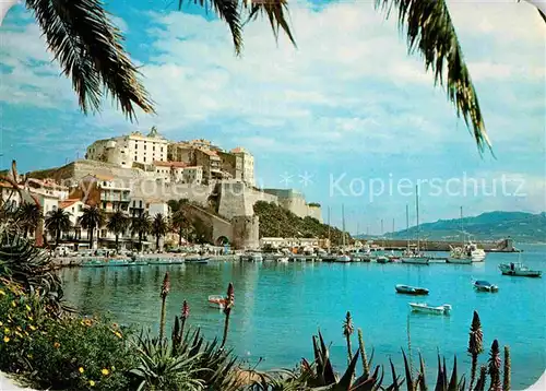 AK / Ansichtskarte Calvi La Citadelle et le port de plaissance Kat. Calvi