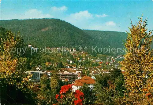 AK / Ansichtskarte Wildbad Schwarzwald Panorama Kat. Bad Wildbad