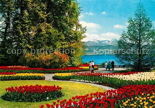 AK / Ansichtskarte Insel Mainau Park Promenade Alpenblick Kat. Konstanz Bodensee