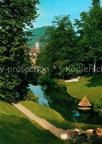 AK / Ansichtskarte Baden Baden Anlagen Michaelsberg Schwanenteich Blick zur Stiftskirche Kat. Baden Baden