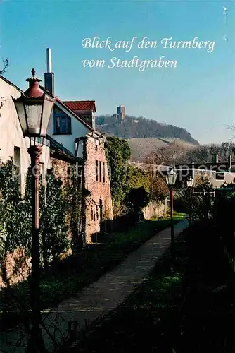 AK / Ansichtskarte Hambach Neustadt Blick auf den Turmberg vom Stadtgraben
