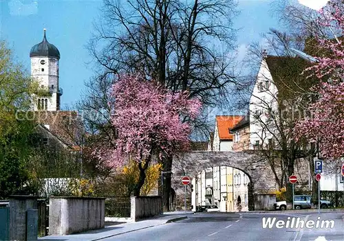 AK / Ansichtskarte Weilheim Oberbayern Hauptstrasse Kirchturm Baumbluete Kat. Weilheim i.OB