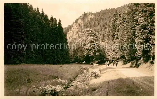 AK / Ansichtskarte Oberhof Thueringen Raeuberstein im Silbergraben Kat. Oberhof Thueringen