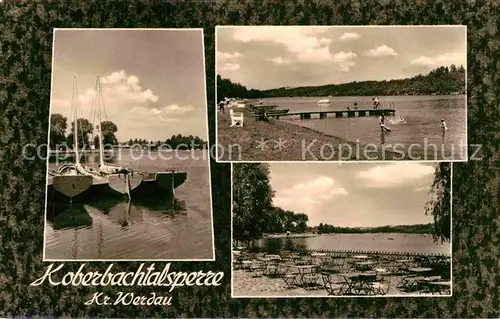 AK / Ansichtskarte Koberbachtalsperre Restaurant Terrasse Badestelle Kat. Zwickau