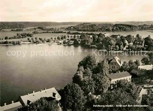 AK / Ansichtskarte Feldberg Mecklenburg Blick auf den Amtswerder Kat. Feldberger Seenlandschaft