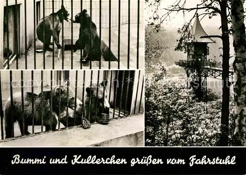 AK / Ansichtskarte Baeren Bummi und Kullerchen Bad Schandau Fahrstuhl  Kat. Tiere