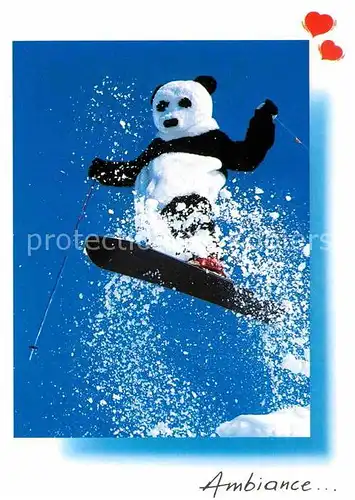 AK / Ansichtskarte Wintersport Monoski Pandabaer  Kat. Sport