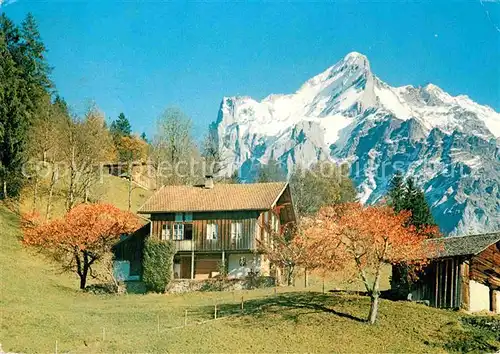 AK / Ansichtskarte Grindelwald Haeuser am Berg Herbststimmung Berner Alpen Kat. Grindelwald