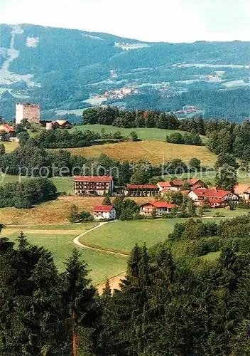 AK / Ansichtskarte Neunussberg Burggasthof Sterr mit Gaestehaus Burgfried Kat. Viechtach