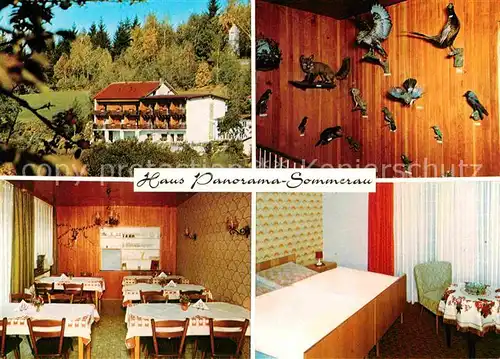 AK / Ansichtskarte Sommerau Lohberg Haus Panorama Gaestehaus Fremdenzimmer Tierpraeparate Kat. Lohberg