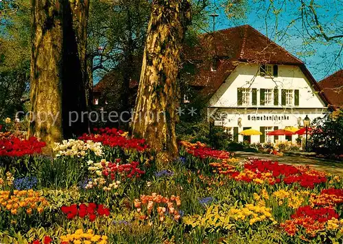 AK / Ansichtskarte Mainau Schwedenschenke Kat. Konstanz