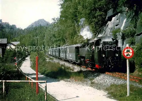 AK / Ansichtskarte Lokomotive Dampflokomotive 991758 4 Oybintal  Kat. Eisenbahn