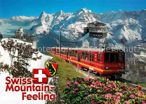 AK / Ansichtskarte Fotomontage Fotocollage Jungfraubahn Jungfrauregion Kat. Fotografie