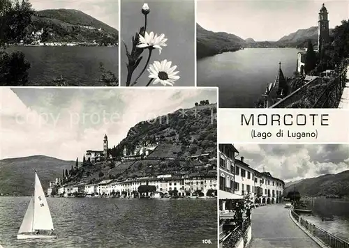 AK / Ansichtskarte Morcote Lago di Lugano Panorama Luganersee Segeln Uferstrasse Kirche Alpen