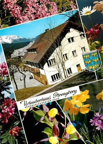 AK / Ansichtskarte Puchberg Schneeberg Urlauberhaus Strengberg Alpenblick Blumen Kat. Puchberg am Schneeberg