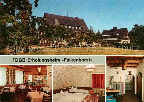 AK / Ansichtskarte Waldidylle Falkenhain FDGB Erholungsheim Falkenhorst