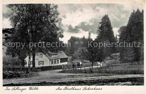 AK / Ansichtskarte Solling Bodenfelde Forsthaus Lakenhaus Sollinger Wald Kat. Bodenfelde