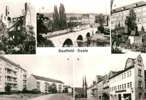 AK / Ansichtskarte Saalfeld Saale Burgruine Hoher Schwarm Bruecke der Freundschaft Reinhardstrasse Kat. Saalfeld