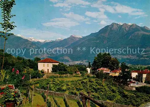 AK / Ansichtskarte Gudo Alpenpanorama Kat. Gudo