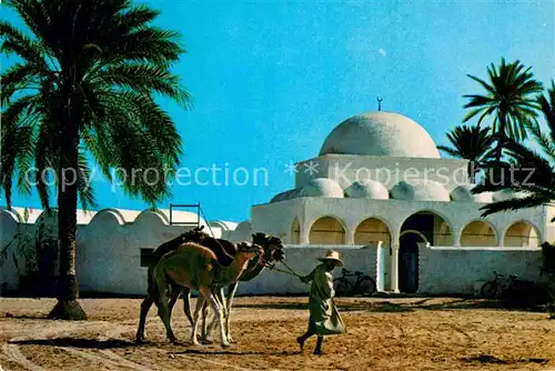 AK / Ansichtskarte Jerba Mosquee de Mahboubine Moschee Kamele