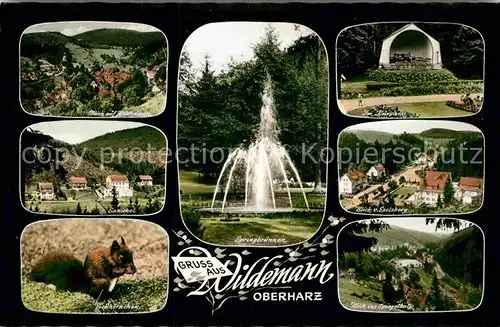 AK / Ansichtskarte Wildemann Ortsblick Springbrunnen Kurpark Sanickel Eselsberg Eichhoernchen Spiegeltal Kat. Wildemann Harz