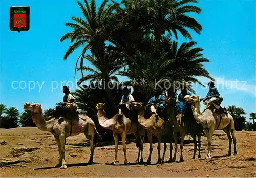 AK / Ansichtskarte Kamele Caravana de Meharistas de M Hamid Maroc  Kat. Tiere