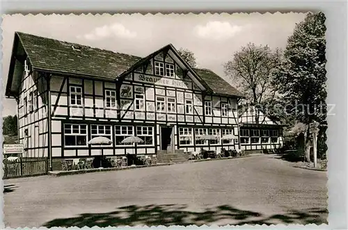 AK / Ansichtskarte Neuhaus Solling Hotel Brauner Hirsch Kat. Holzminden