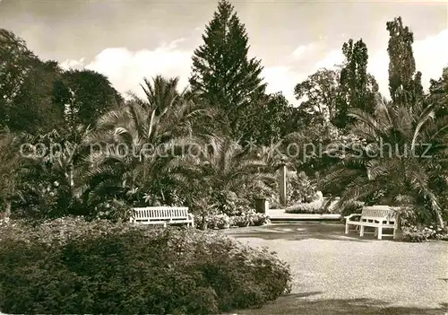 AK / Ansichtskarte Bad Pyrmont Kurpark Palmengarten Kat. Bad Pyrmont