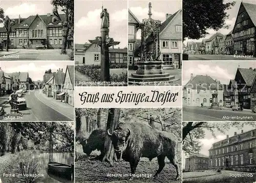 AK / Ansichtskarte Springe Deister Bahnhof Ratsnachtwaechter Heinrich Marienbrunnen Ratskeller Lange Str Marienbrunnen Partie im Volkspark Wiesente Jagdschloss Kat. Springe