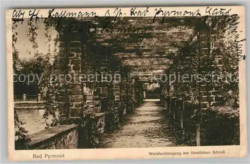 AK / Ansichtskarte Bad Pyrmont Weinlaubengang am fuerstlichen Schloss Kat. Bad Pyrmont