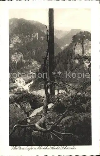 AK / Ansichtskarte Polenztal Waltersdorfermuehle  Kat. Hohnstein