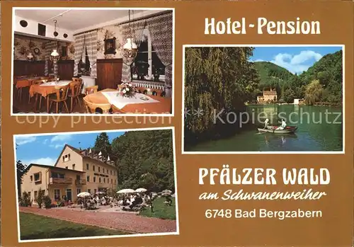 AK / Ansichtskarte Bad Bergzabern Hotel Pension Pfaelzer Wald am Schwanenweiher Kat. Bad Bergzabern