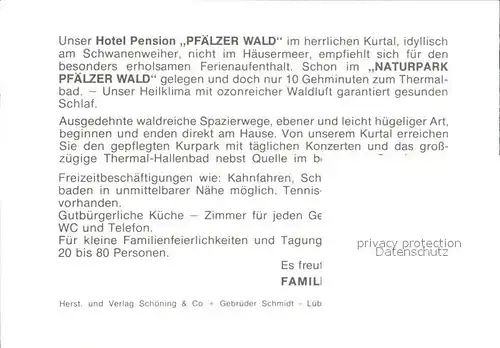 AK / Ansichtskarte Bad Bergzabern Hotel Pension Pfaelzer Wald am Schwanenweiher Kat. Bad Bergzabern