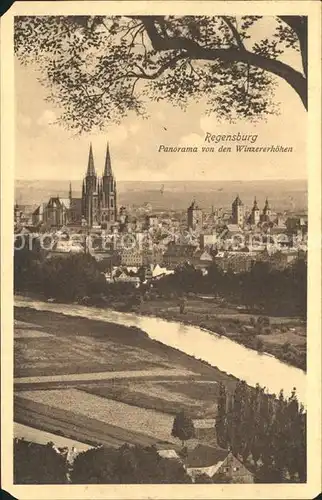 AK / Ansichtskarte Regensburg Panorama Blick von den Winzererhoehen Dom St Peter / Regensburg /Regensburg LKR