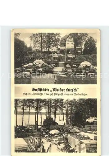AK / Ansichtskarte Werbellinsee-Altenhof Gaststaette Weisser Hirsch Seeterrasse / Schorfheide /Barnim LKR
