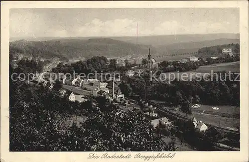 AK / Ansichtskarte Berggiesshuebel Panorama Kat. Bad Gottleuba Berggiesshuebel