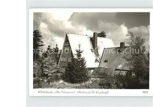 AK / Ansichtskarte Altenberg Erzgebirge Waldschaenke Altes Raupennest Kat. Geising