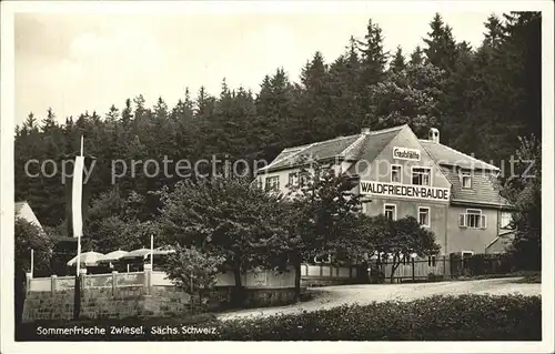 AK / Ansichtskarte Zwiesel Bad Gottleuba Berggiesshuebel Fremdenhof Waldfrieden Baude Gaststaette Kat. Bad Gottleuba Berggiesshuebel