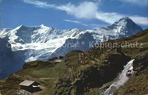 AK / Ansichtskarte Grindelwald First Bachlaeger mit Fiescherhorn und Eiger Berner Alpen Kat. Grindelwald