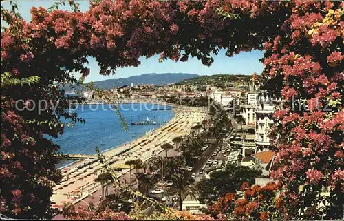 AK / Ansichtskarte Cannes Alpes Maritimes La Croisette et le Suquet Cote d Azur Fleurs Kat. Cannes