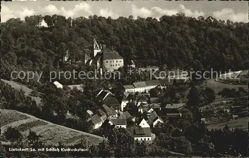 AK / Ansichtskarte Liebstadt Ortsansicht mit Schloss Kuckuckstein Kat. Liebstadt