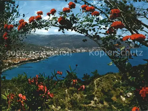 AK / Ansichtskarte Diano Marina Panorama dal Capo Berta Riviera dei Fiori Rosenbusch Kat. Italien