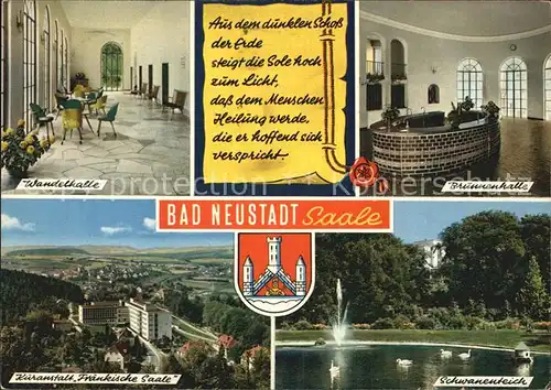 AK / Ansichtskarte Bad Neustadt Wandelhalle Blumenhalle Kuranstalt Fraenkische Saale Schwanenteich Kat. Bad Neustadt a.d.Saale