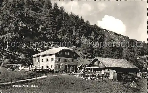 AK / Ansichtskarte Zwiesel Niederbayern Zwieselalmhaus Kat. Zwiesel