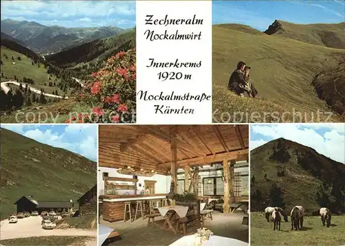 AK / Ansichtskarte Kremsbruecke Nockalmwirt Zechneralm Fernsicht Alpenpanorama Pferde