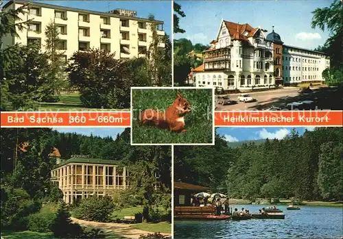 AK / Ansichtskarte Bad Sachsa Harz Kurhaus Hotel Schmelzsee Bootfahren Eichhoernchen Heilklimatischer Kurort Kat. Bad Sachsa