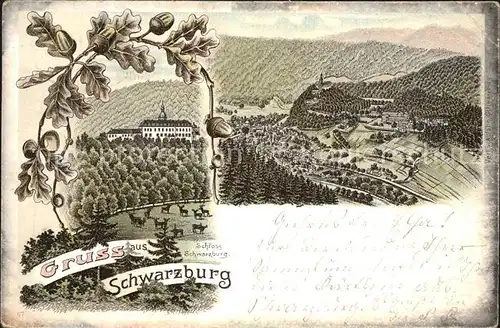 AK / Ansichtskarte Schwarzburg Thueringer Wald Panorama Schloss Eichenlaub Litho Kat. Schwarzburg