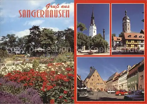 AK / Ansichtskarte Sangerhausen Suedharz Europa Rosarium Ulrichskirche Markt  Kat. Sangerhausen